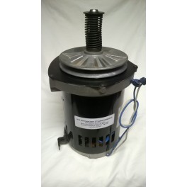 513968  Headstock Electric Euro  Motor 240v Refurbished