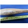 Spindle gouge ½ inch- 24 inch long- by The Home of Woodturning